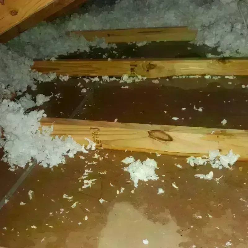 Attic Water Damage in Estancia, NM